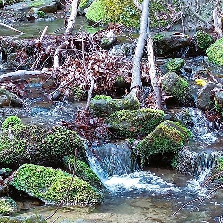 Modry Domek Szczyrk Exteriér fotografie