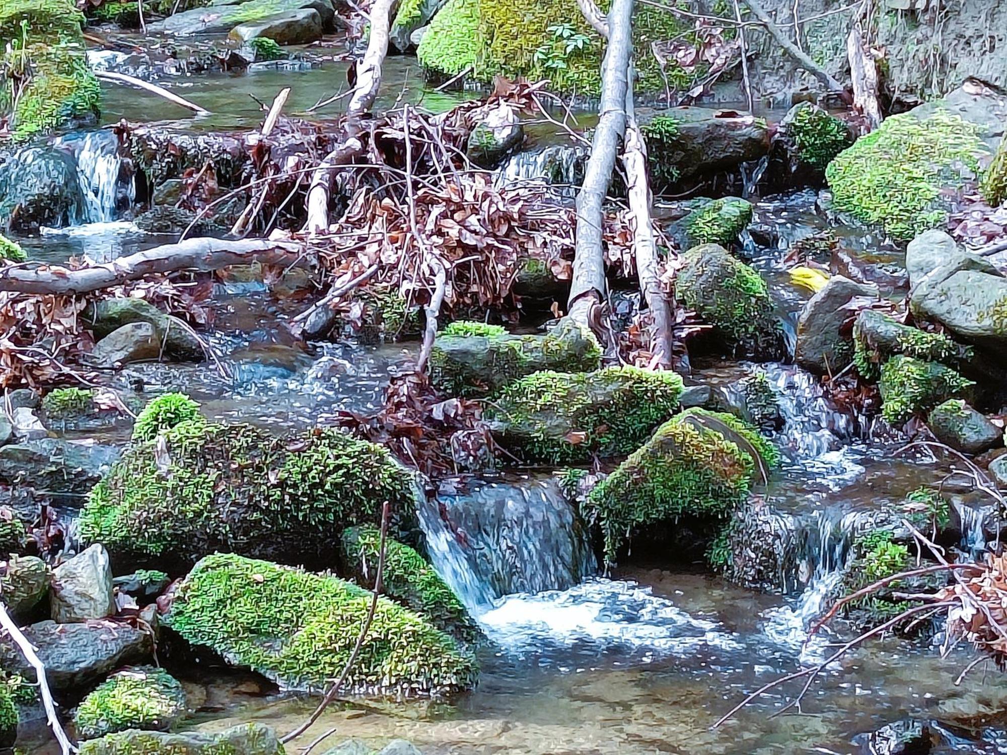 Modry Domek Szczyrk Exteriér fotografie